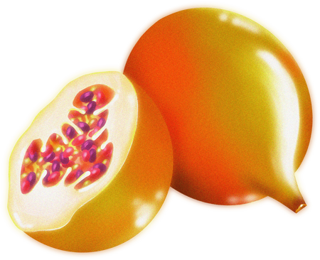 Dreamy Glossy Pomegranate